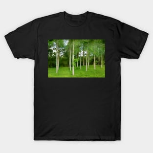 Into the Woods T-Shirt